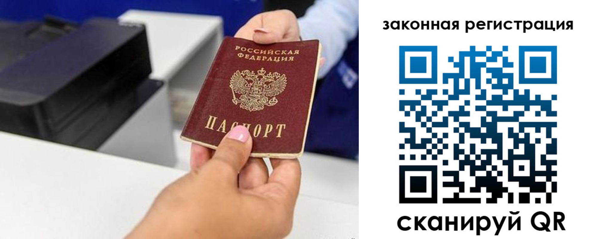 прописка для школы в Струнино